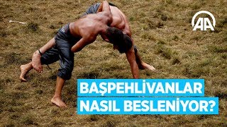 Kırkpınarın başpehlivanları nasıl besleniyor [upl. by Daraj]