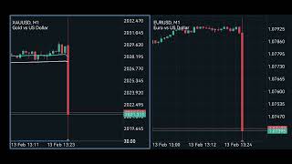 USD CPI yy High Impact Fundamental news 13 FEB 2024 [upl. by Lipscomb]