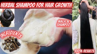 Homemade Shampoo By Zonni lifestyle  How To Make Amla Reetha Shikakai Herbal Shampoo at Home💯 [upl. by Wolfort877]