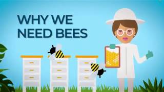 5 Reasons Why We Need Bees More Than Ever – And What You Can Do To Help Save The Bees [upl. by Nollaf]