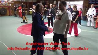 Workshop Wing Chun rotan ring with Grandmaster Walter Toch [upl. by Edia]