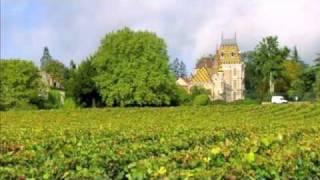 La Viticulture en France  French Wine and Provincial Life [upl. by Flanders]