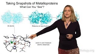 Catherine Drennan MITHHMI Part 1 Introduction to Metalloproteins [upl. by Roon]