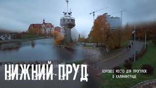 4K Калининград Нижний пруд Осень 2023г [upl. by Notsgnal]