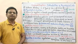 Endocrine Gland Part08  Gonadotropin Hormone  Physiology amp Pharmacology of Gonadotropin [upl. by Kcinimod]