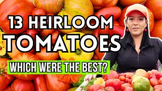 Reviewing 13 Heirloom Tomatoes  Which Was The Best garden gardeningtips tomato plants grow [upl. by Heffron659]