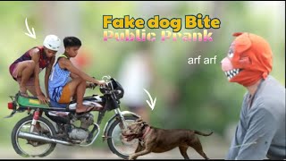 FAKE DOG BITE quotPUBLIC PRANKquot  Akala nila nakagat talaga sila 😂 [upl. by Rhianon863]