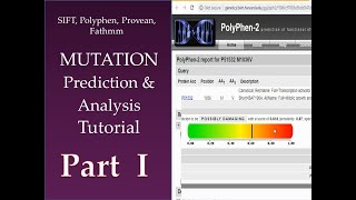 Mutational Prediction amp Analysis Tutorial PART 1 [upl. by Wassyngton]