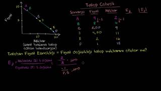 Talebin Fiyat Esnekliği 1 Mikroekonomi [upl. by Lokcin]