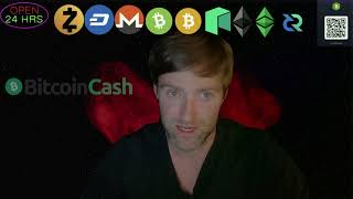 Bitcoin Cash bch is FAST money [upl. by Singhal270]