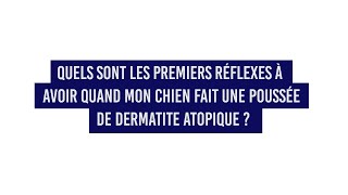 Quels sont les premiers réflexes à avoir quand mon chien fait une poussée de dermatite atopique [upl. by Rois571]