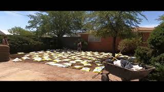 Sod Installation Time Lapse Double T Sod  Conversion of a Concrete front yard to Bermuda [upl. by Yuria400]