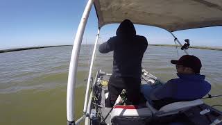 Alviso STURGEON FISHING South Bay [upl. by Iaka293]