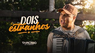 DOIS ESTRANHOS  Tarcísio do Acordeon Clipe Oficial [upl. by Ekaj]