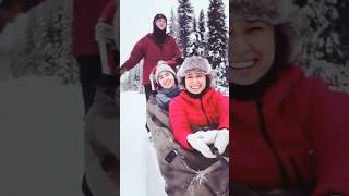 Come Dog Mushing with Travel Alaska [upl. by Ahker367]