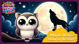 Why Do Wolves Howl to the Owl  Tons of Tunes 4 Tots [upl. by Torrin]