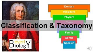 Classification and Taxonomy [upl. by Ajam]