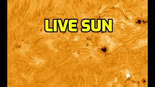 LIVE SUN  Sunspots and Solar Flares [upl. by Rhona]