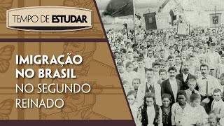 Imigração no Brasil no Segundo Reinado l Tempo de Estudar  História  8º ano [upl. by Amato]