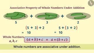 Associative Property of Whole Numbers  Part 13  English  Class 6 [upl. by Ieluuk]