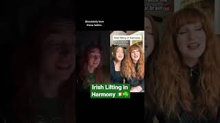 Irish lilting in harmony ft Absolute Lilth [upl. by Placidia]