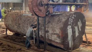 Amazing Woodworking Factory  Extreme Wood Cutting Sawmill Machines Cheesy Wood Giant 1000 Year Old [upl. by Nolak913]