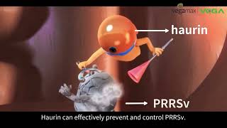 How about amonolaurin function in PRRSv and ASFv [upl. by Nobell112]