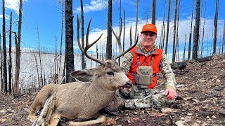 Colorado Deer Hunt 2021  3rd Season Success  THREE BUCKS IN THREE DAYS [upl. by Judus315]