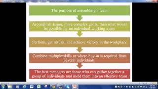 Organizational Behavior Chapter 9 [upl. by Aileda]