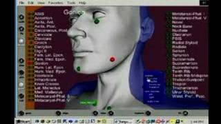 A 3D Visual Glossary for Anthropometric Landmarks [upl. by Alys]