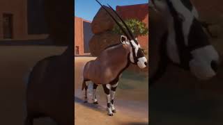 Amazing Gemsbok in Planet Zoo planetzoo [upl. by Duile]