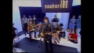 The Seahorses  Love Me And Leave Me  Top Of The Pops  Friday 10th October 1997 [upl. by Lambrecht]