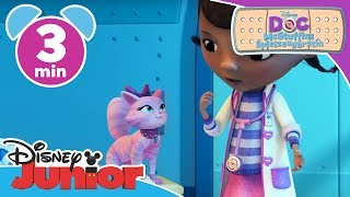 Doc McStuffins  Clip Das Rettungsteam  Disney Junior [upl. by Judy]