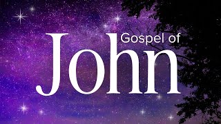 Gospel of John  Abide Audio Bible Holy Bible Audio [upl. by Kallman]