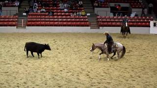 Houston Rodeo Professional Cutting Horse Competition [upl. by Dietsche]