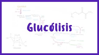 BIOQUÍMICA  Glucólisis Catabolismo de Carbohidratos  Blasto Med [upl. by Niehaus]