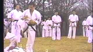 Okinawa Shorin ryu Karate [upl. by Attener]