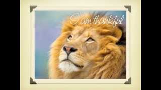 THE BEST THANKSGIVING SONG EVER  THE POWER OF GRATITUDE PRAISE WORSHIP ADORATION APPRECIATION [upl. by Josefina]