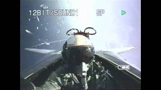 F14 Tomcat Demo in Ft Lauderdale FL [upl. by Raddi]