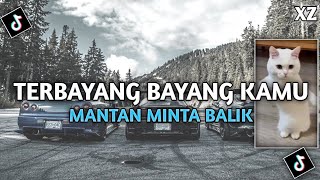 DJ TERBAYANG BAYANG KAMU CINTA SAYANG BUKAN KALENGKALENG BY HILMIXZ ESTETOD 🌀 [upl. by Dreddy]