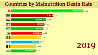 Top 10 Countries by Highest Malnutrition Death Rate 19902019 [upl. by Ymas]