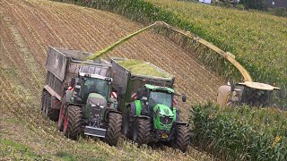 Mais Silage 2023  Biggest harvester Krone BIG X 1180  Bakumer Agrarservice  Fendt  Maisernte 4K [upl. by Firestone]