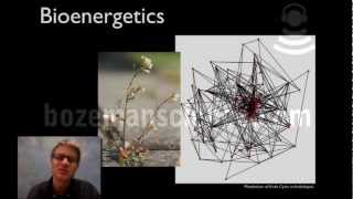 Bioenergetics [upl. by Noellyn]