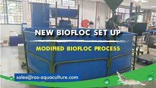 New Biofloc Setup with a Hybrid RAS Technology [upl. by Lillith]