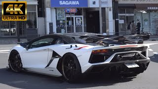 Loud Lamborghini Aventador SVJ in Tokyo Brutal Sound ランボルギーニ・アヴェンタドールSVJ超高音サウンドマフラー [upl. by Burk]