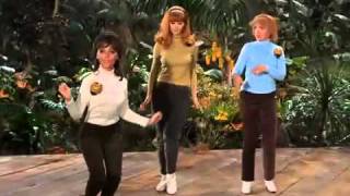 Gilligans Island  The Honey Bees You Need Us [upl. by Ressler]