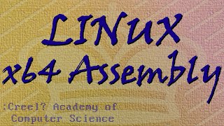 Linux x64 Assembly Tutorial 4 Passing Parameters and Coding [upl. by Alderson]