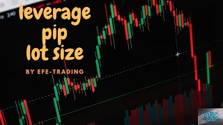 ስለ lot pip spread leverage ስሌት እና መጠቀም [upl. by Merrick]