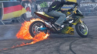 Best Stunt Show Highlights [upl. by Myers]