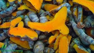 Carcinogen Blocking Effects of Turmeric Curcumin [upl. by Aikaz186]